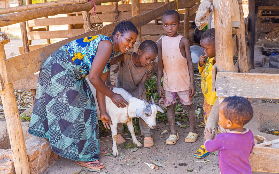 From a $50 Asset to Land, Livestock, and School Fees
