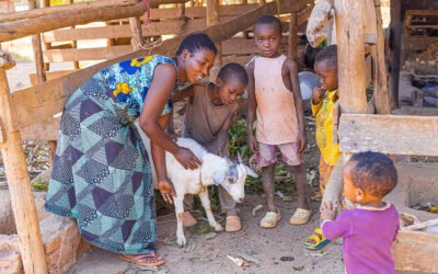From a $50 Asset to Land, Livestock, and School Fees