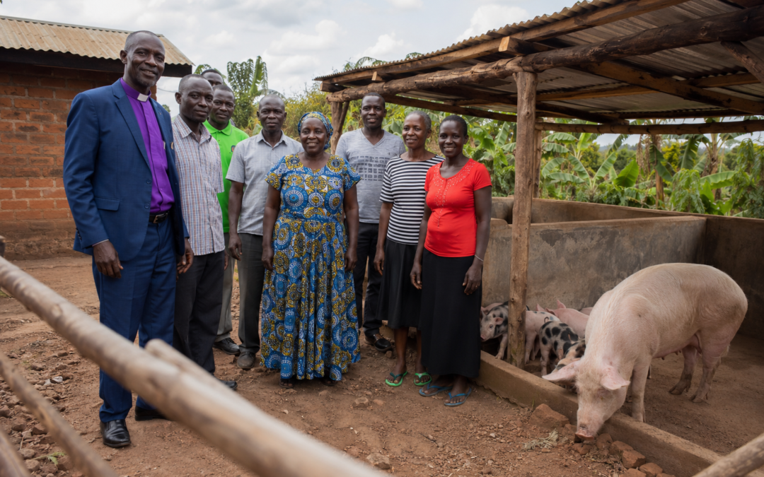 From a Borrowed Corner to a Farm of Their Own
